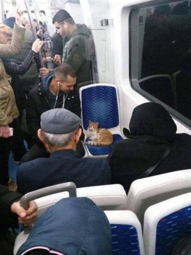 Разные картинки