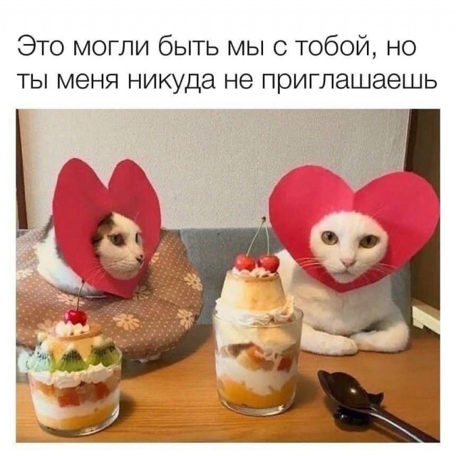 Прикольные и просто красивые картинки 27.02.2026