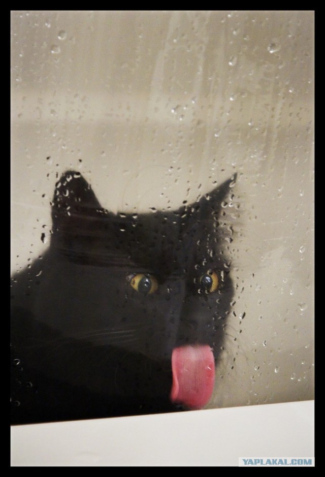 Воскресенье, утро, жажда