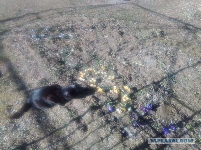 Городские на природе