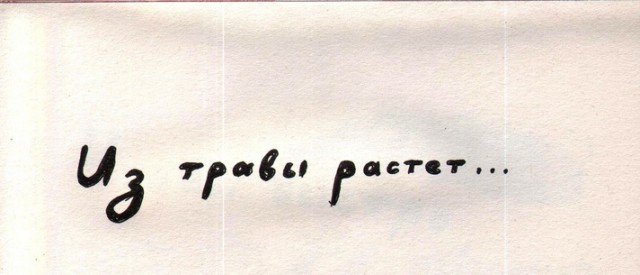 Из травы растет...