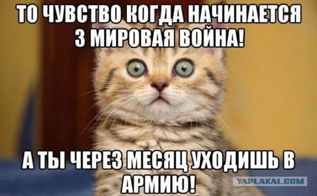События в Крыму. Немного несерьёзно