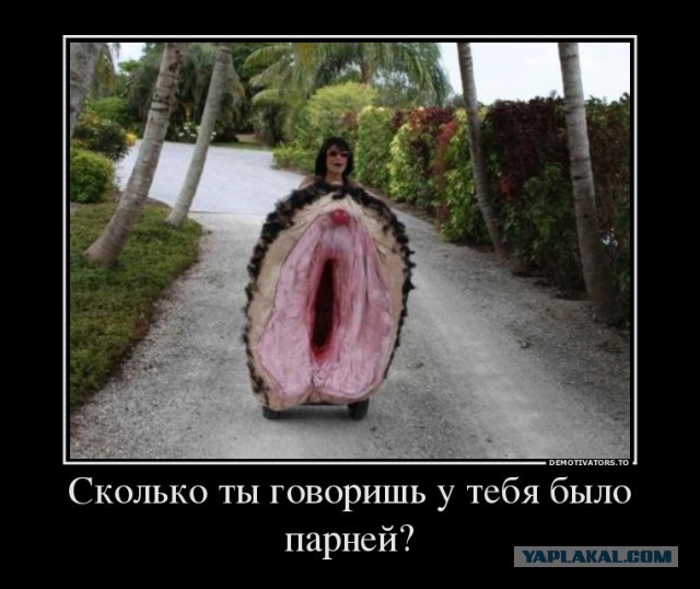 И снова пуси