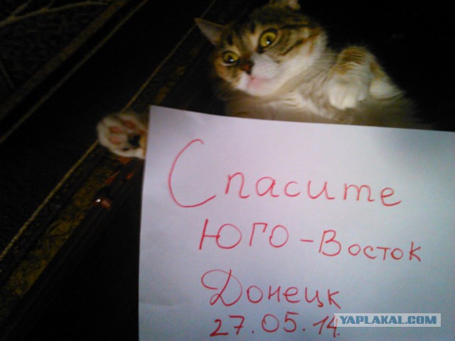 Акция спасите Юго-восток!