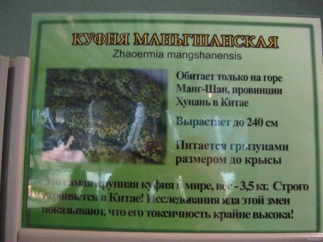 Поход за хорошим настроением
