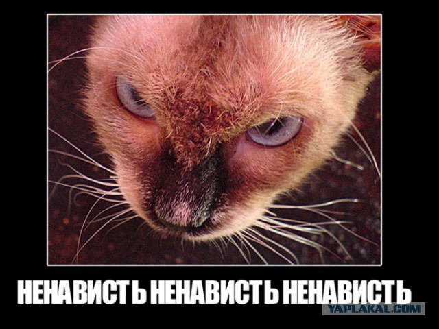где вы, мужчины"
