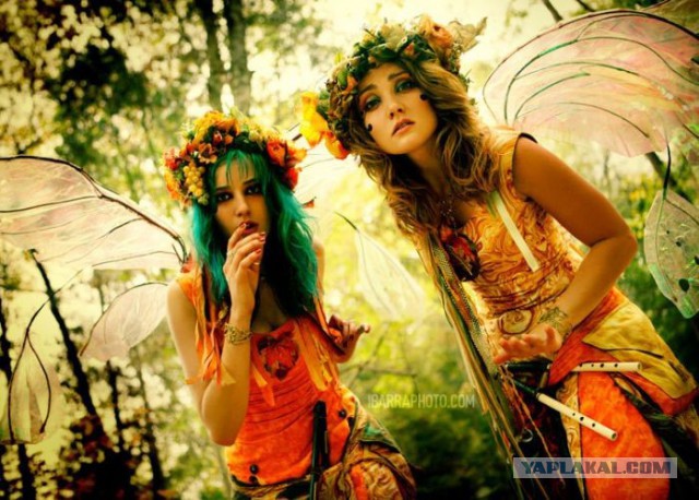 Плюсомет со шпалометом