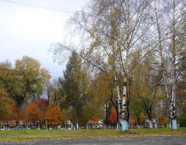 В черном городе