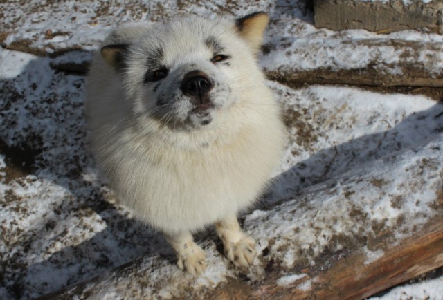 Веснушка, с Днём рождения!