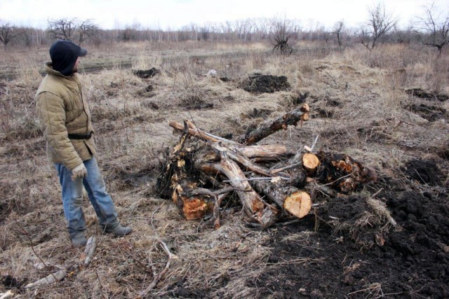 Один день из жизни импортозаместителей