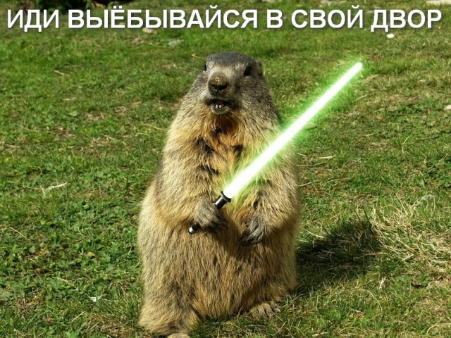 Когда кто-то плюсует твой заминусованый пост