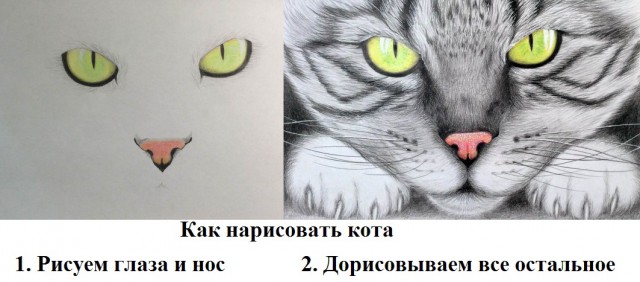 Девушка нарисовала котуху для котовторника