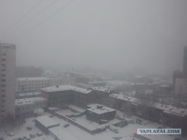 Ташкент, 2 января