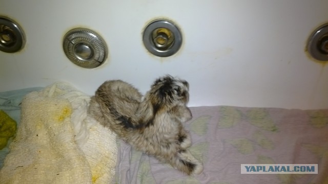 Мы заслужили эту страну