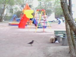 Угон