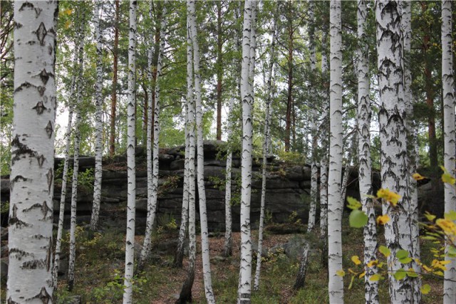 Я узнал, что у меня есть огромная семья