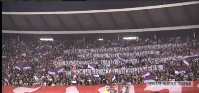 В центре Белграда звучит "Вставай, страна огромная!"