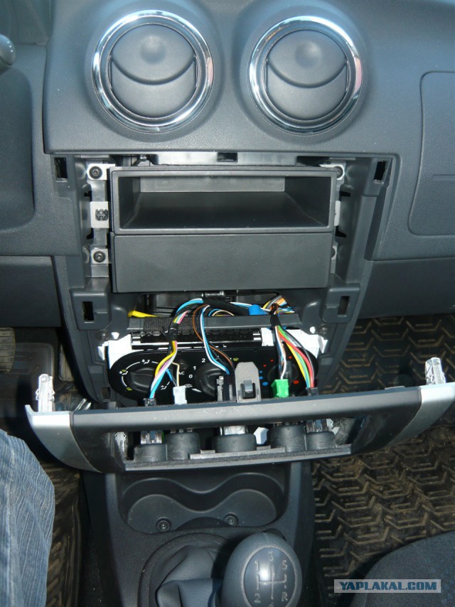 Они живые. Они смотрят на нас!