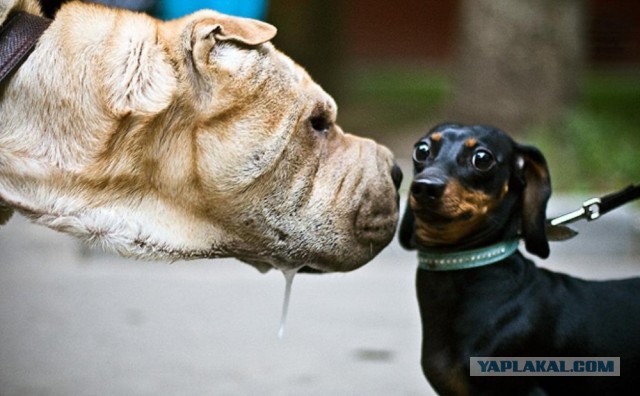 Подборка картинок на среду