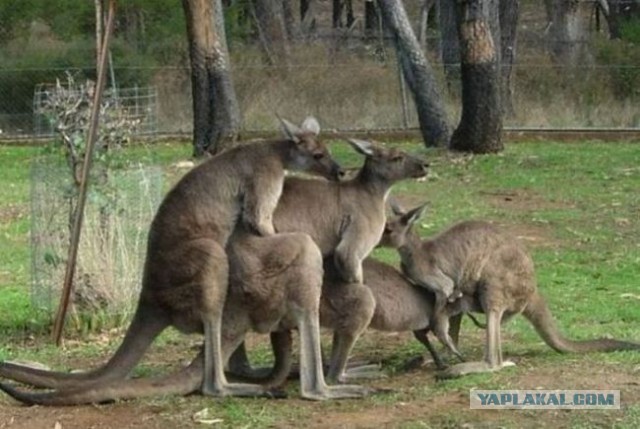 Когда день не задался