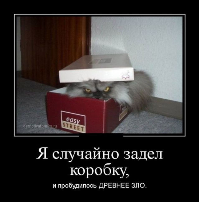 Для настройки мимиметра