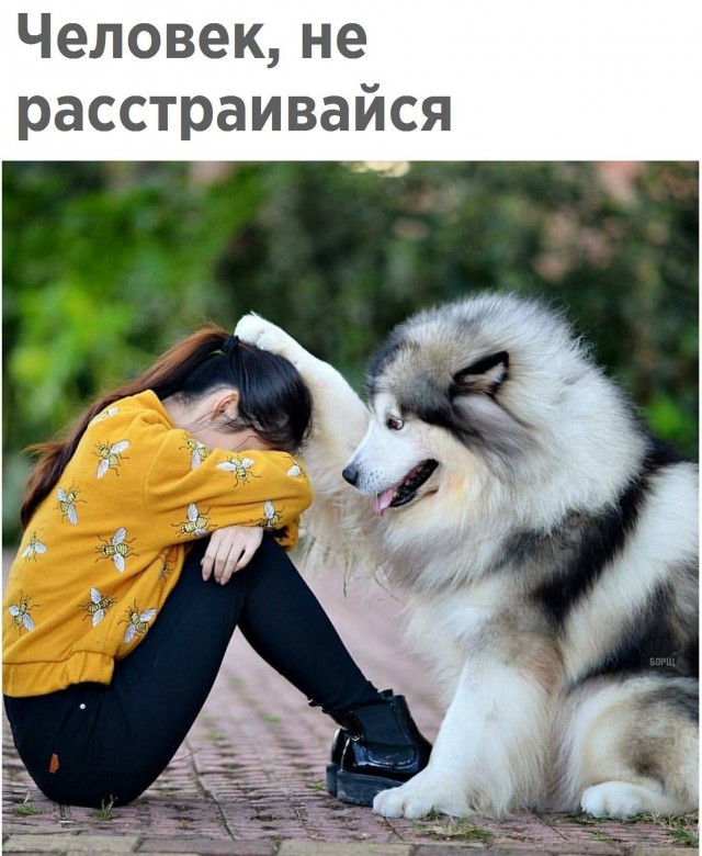 Не расстраивайся картинки