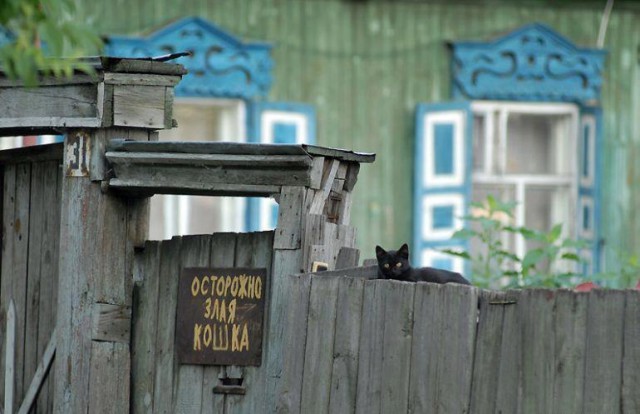 Смешные объявления, надписи и вывески