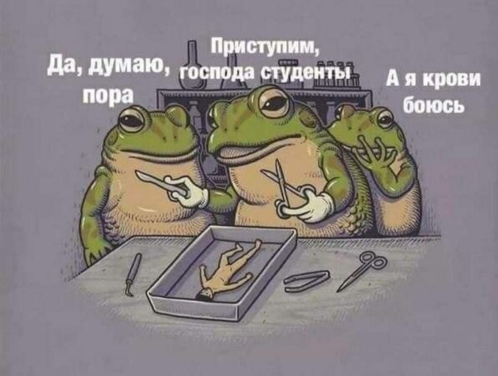 Бредзона 18.12.2019