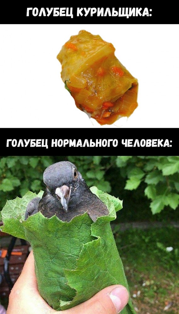 Чёрный юмор в картинках