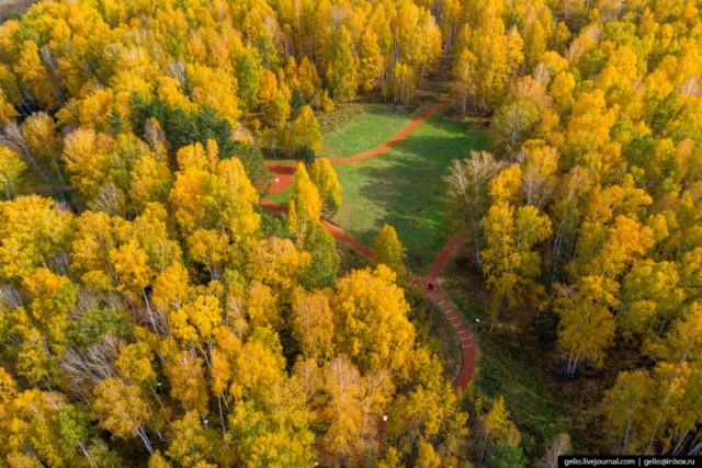 Новосибирская осень. Фотокарточки