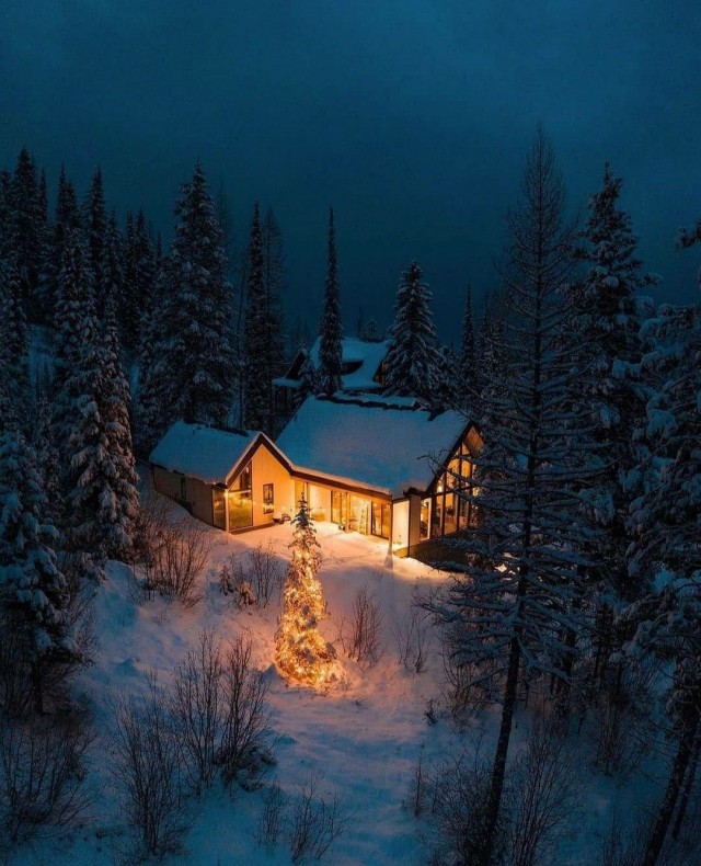 Красота фотографии