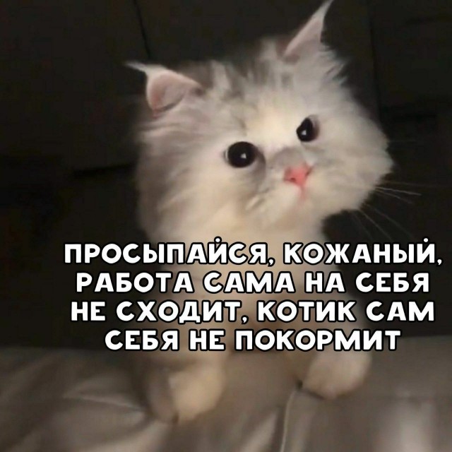 Картинки разные