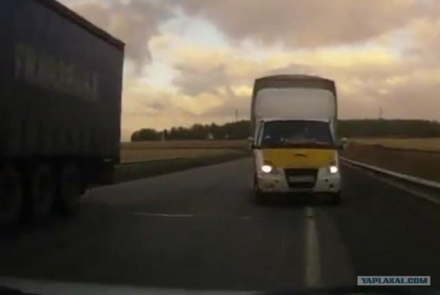 Лобовая с газелью