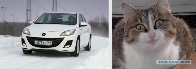Самая грустная машина в мире