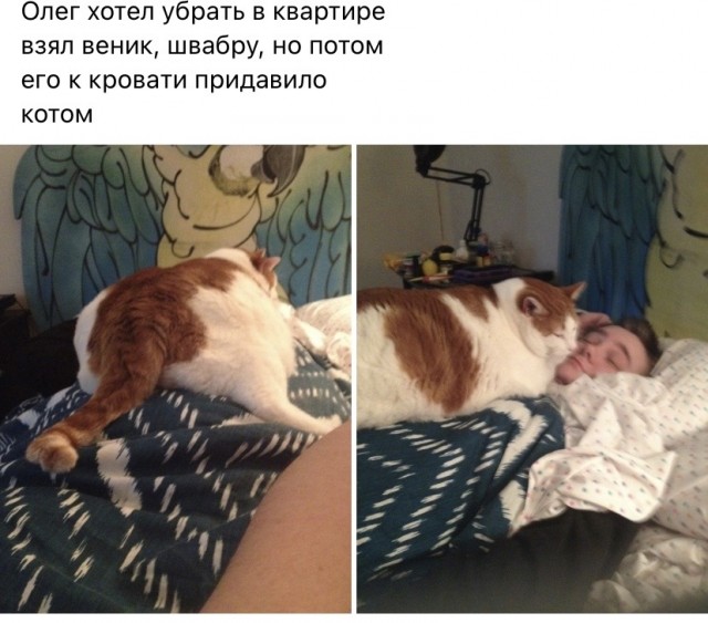 Картинки с надписями и всякие жизненные фразы 20.06.21