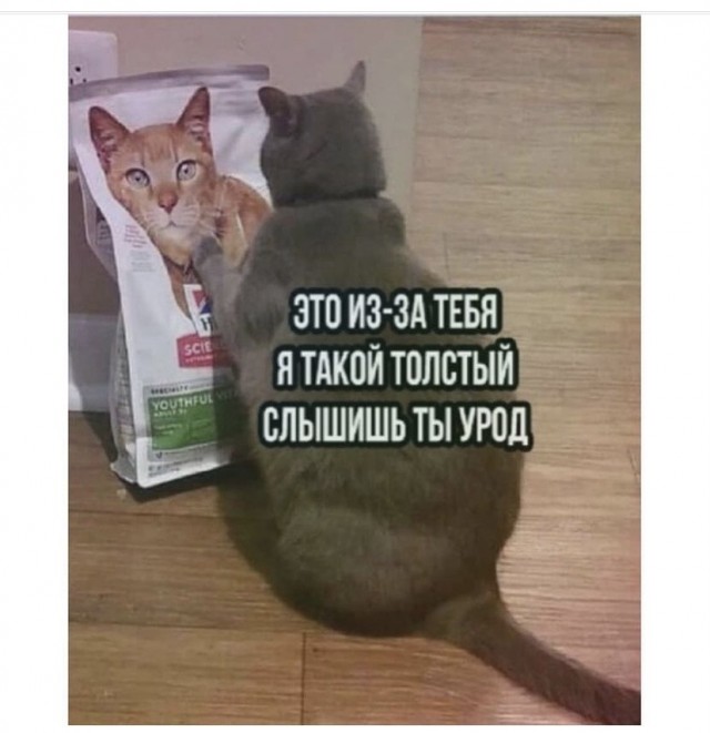 Весёлый полтишок 14.07