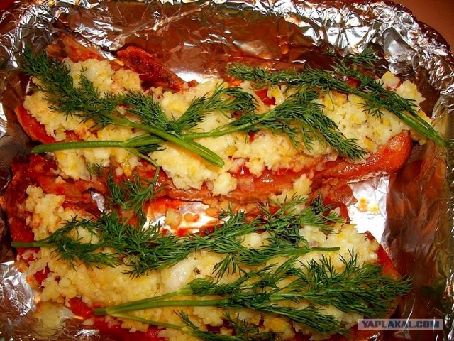 International одной книги., В память о Дженибеке.