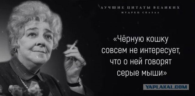 Бредзона 31.10.21