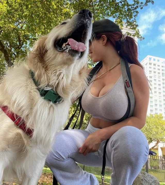 Два ошейника у собаки