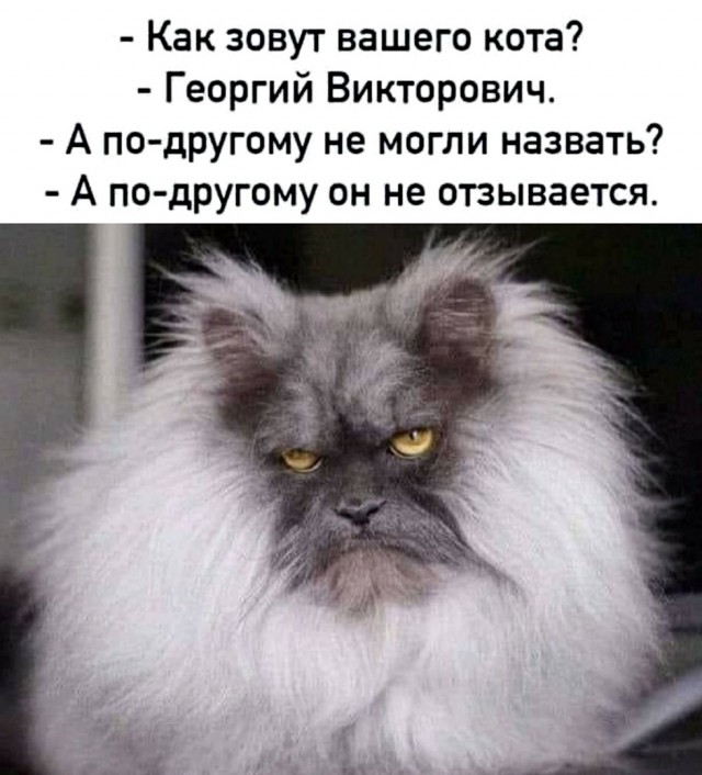 Так себе картинки 20.04.22