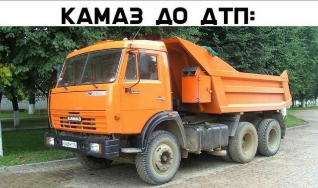 17336991.jpg