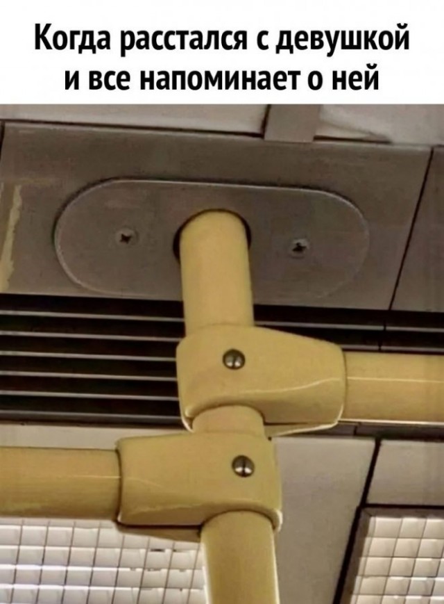 Весёлый полтишок 30.03.23