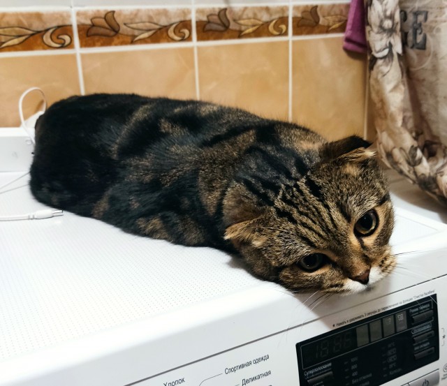 Очередной рабовладелец