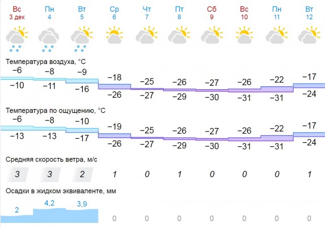 Жителей Новосибирска предупредили о 40-градусных морозах
