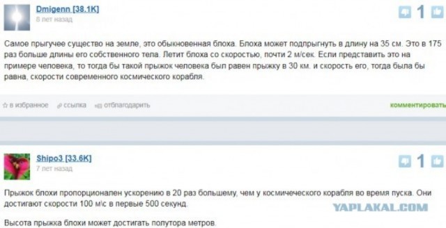 Так себе картинки 03.12.24