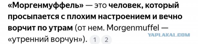 В немецком языке есть слово «Drachenfutter», которое означает «корм для дракона»