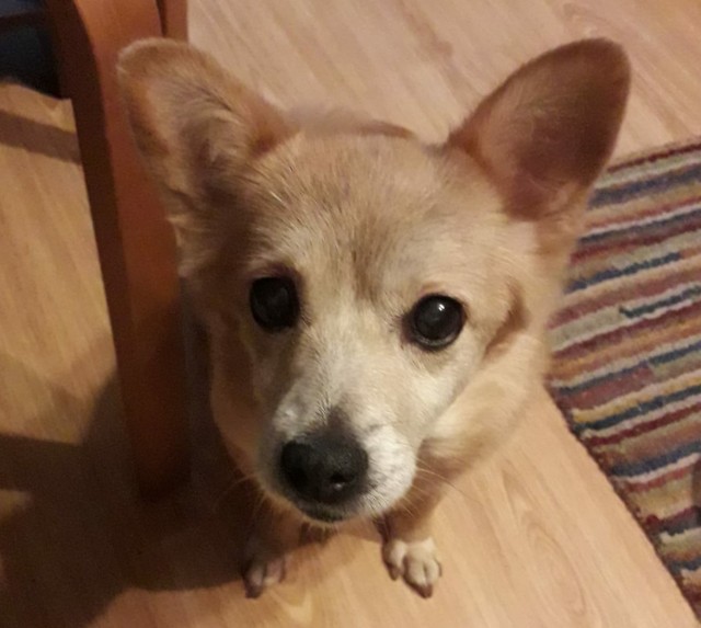 Пост сдал - пост принял