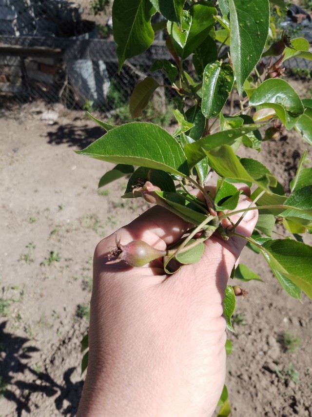 Може  кто знает..