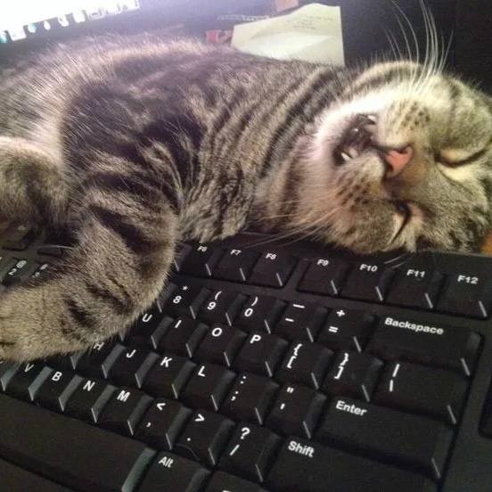 Россиянам посоветовали спать после обеда на работе