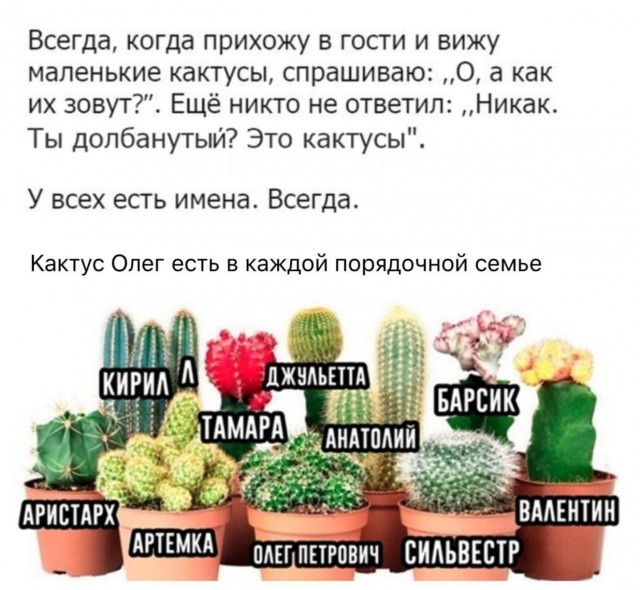 Так себе картинки 06.07.25